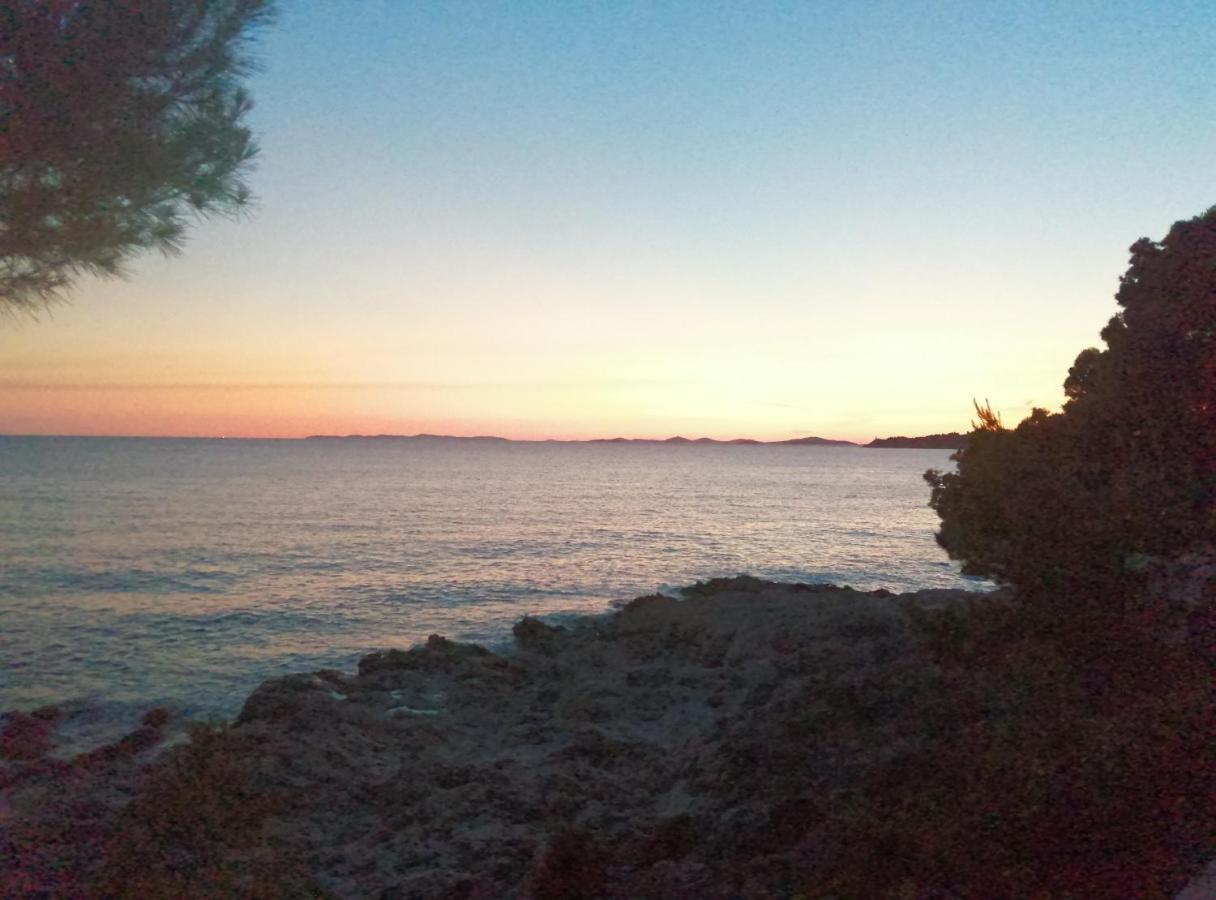 Apartments Nevjestic Primošten Εξωτερικό φωτογραφία