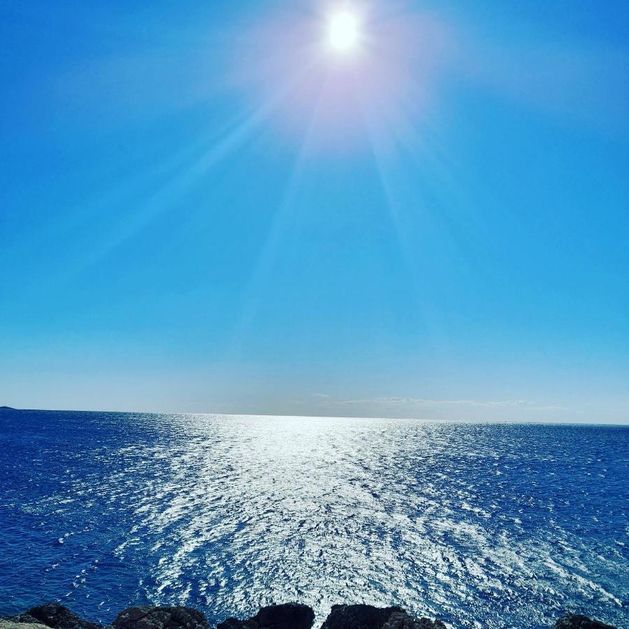 Apartments Nevjestic Primošten Εξωτερικό φωτογραφία
