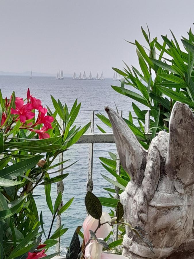 Apartments Nevjestic Primošten Εξωτερικό φωτογραφία