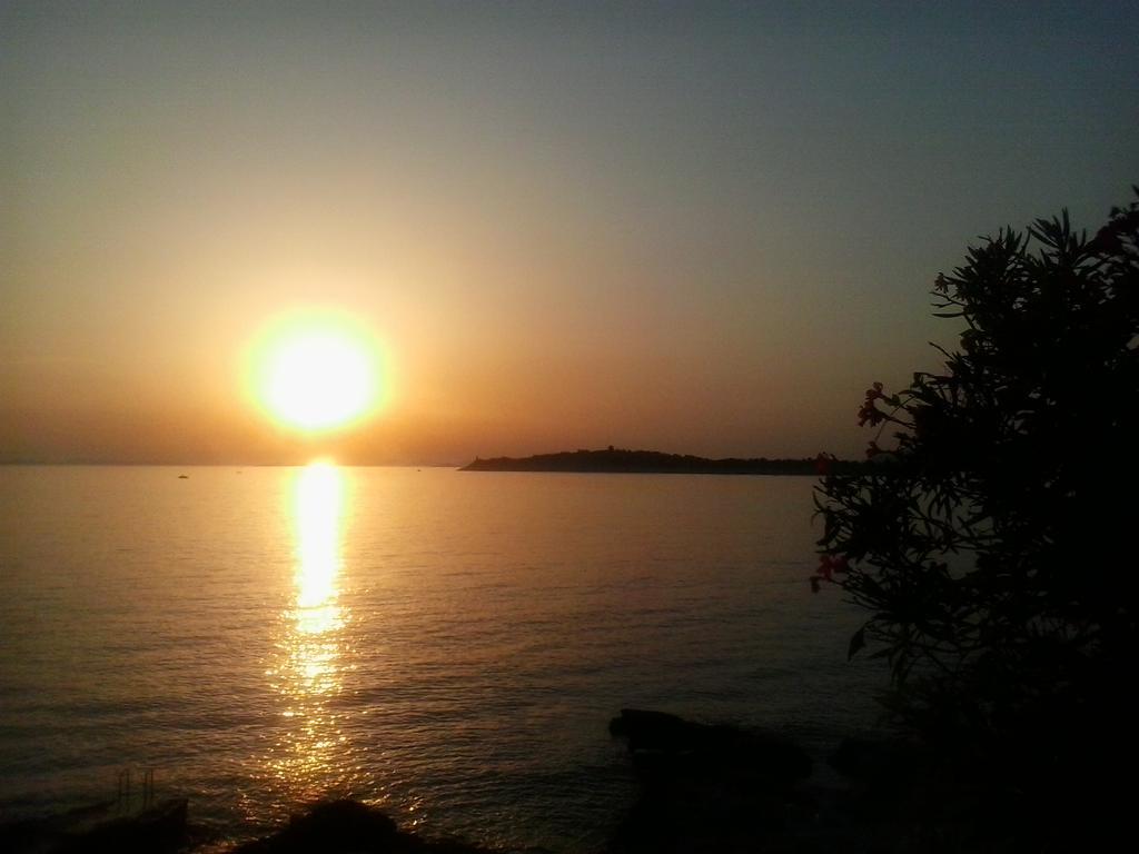 Apartments Nevjestic Primošten Εξωτερικό φωτογραφία