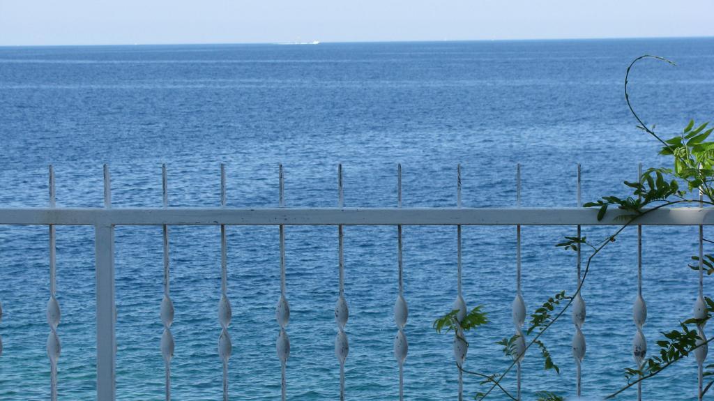 Apartments Nevjestic Primošten Εξωτερικό φωτογραφία
