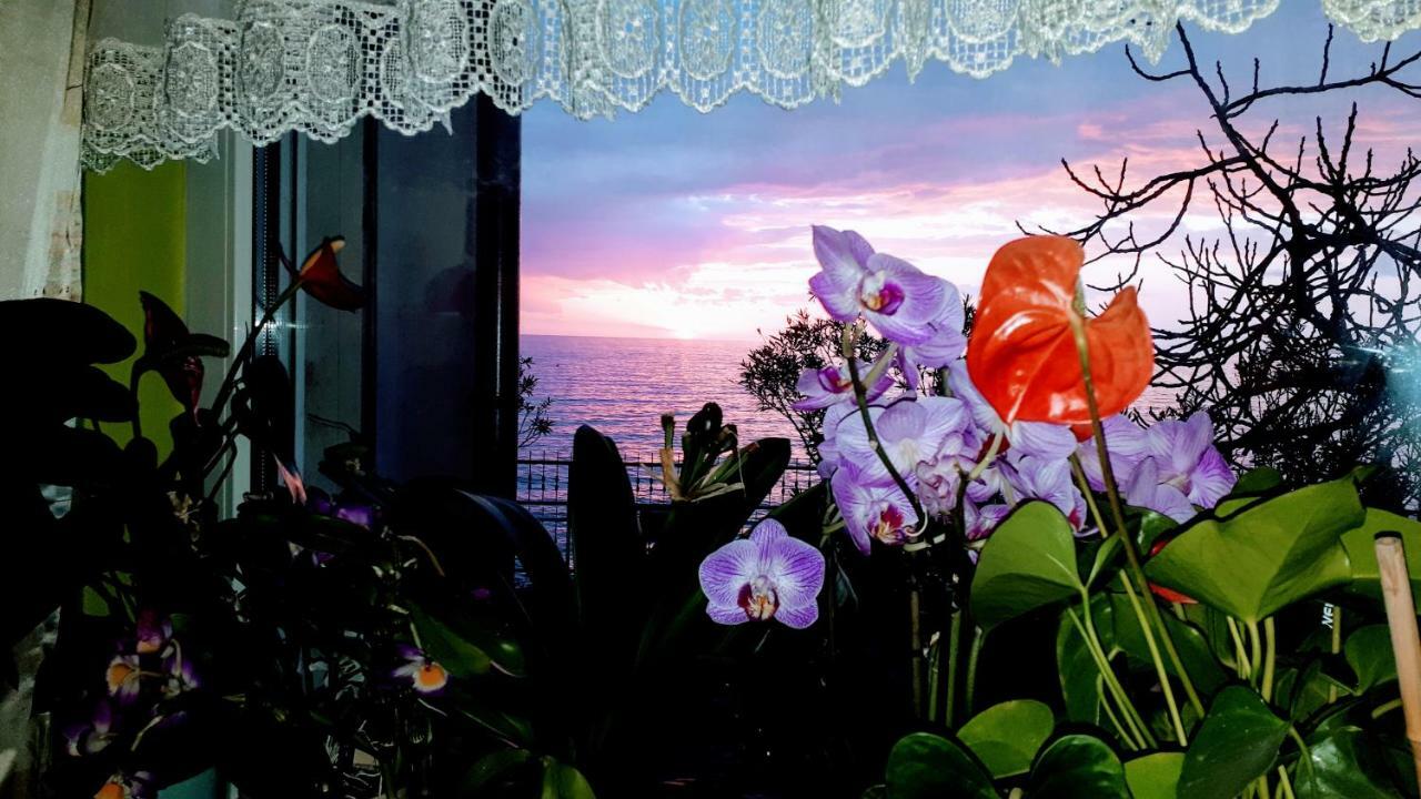 Apartments Nevjestic Primošten Εξωτερικό φωτογραφία